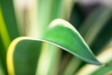 《巫师3》次世代版解锁时间公开 PS5版最早